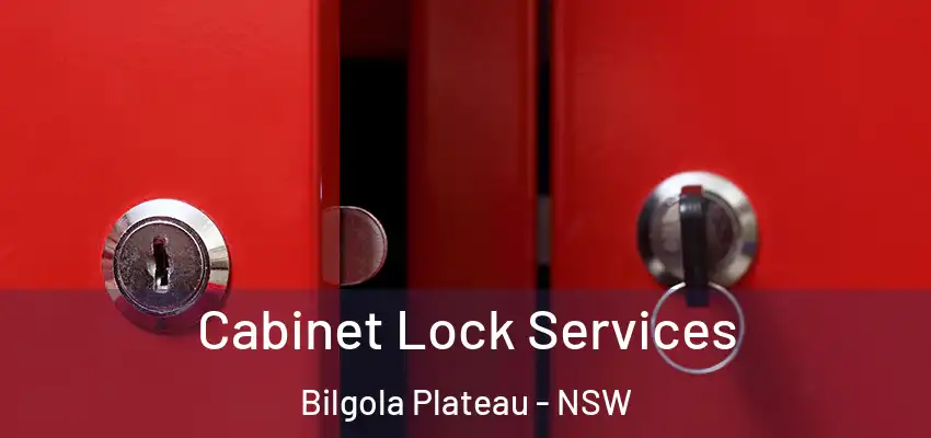 Cabinet Lock Services Bilgola Plateau - NSW