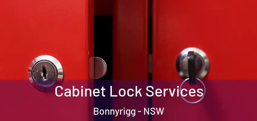 Cabinet Lock Services Bonnyrigg - NSW