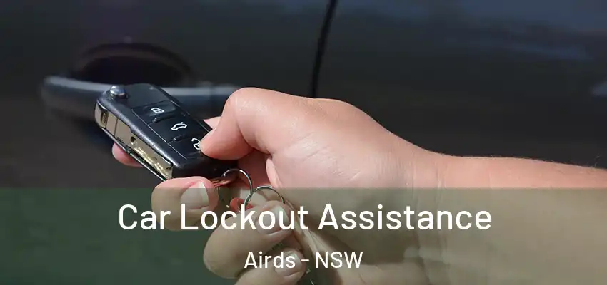 Car Lockout Assistance Airds - NSW