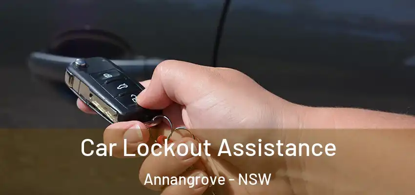 Car Lockout Assistance Annangrove - NSW