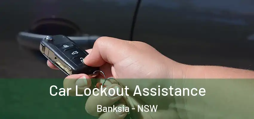 Car Lockout Assistance Banksia - NSW