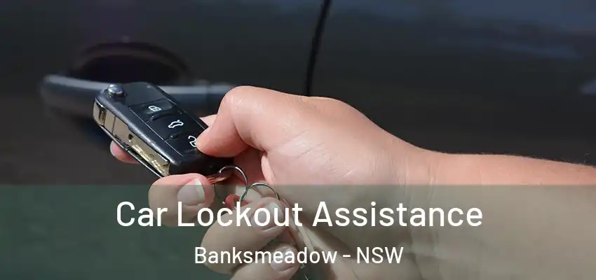 Car Lockout Assistance Banksmeadow - NSW