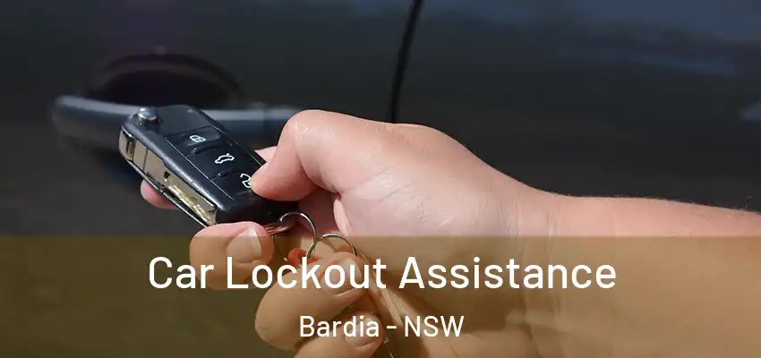 Car Lockout Assistance Bardia - NSW
