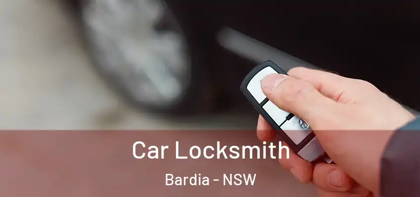 Car Locksmith Bardia - NSW