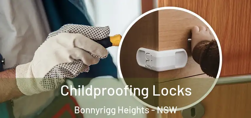 Childproofing Locks Bonnyrigg Heights - NSW
