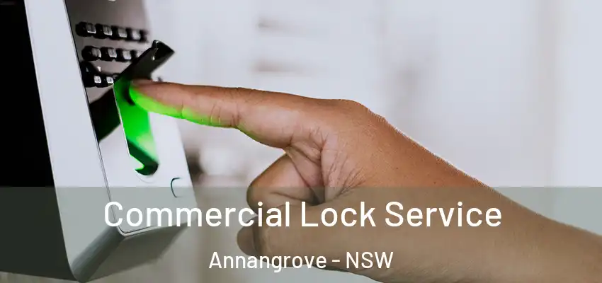 Commercial Lock Service Annangrove - NSW
