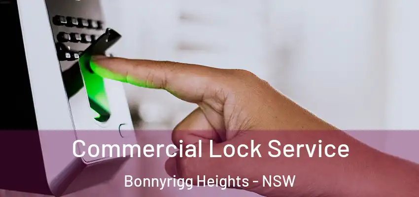 Commercial Lock Service Bonnyrigg Heights - NSW