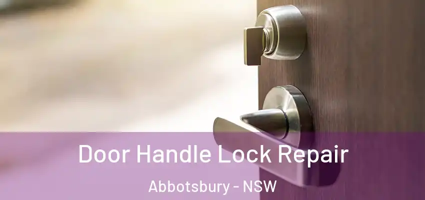 Door Handle Lock Repair Abbotsbury - NSW