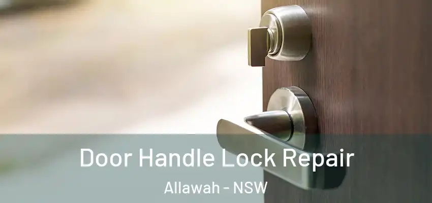 Door Handle Lock Repair Allawah - NSW