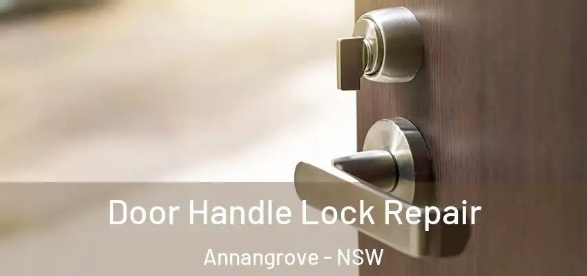 Door Handle Lock Repair Annangrove - NSW