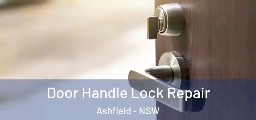 Door Handle Lock Repair Ashfield - NSW