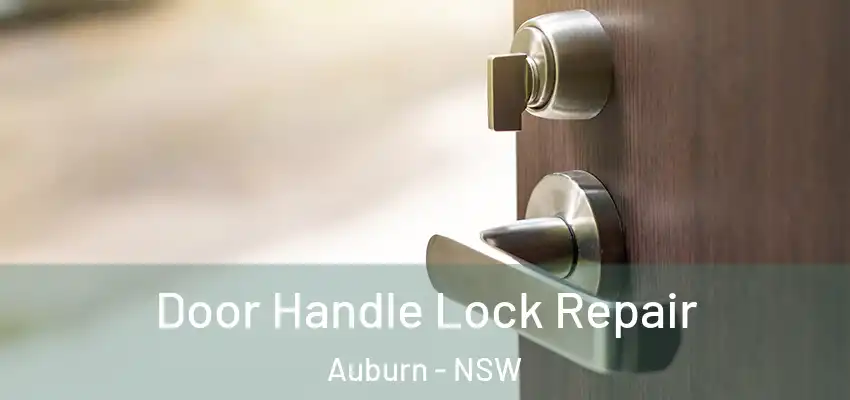 Door Handle Lock Repair Auburn - NSW