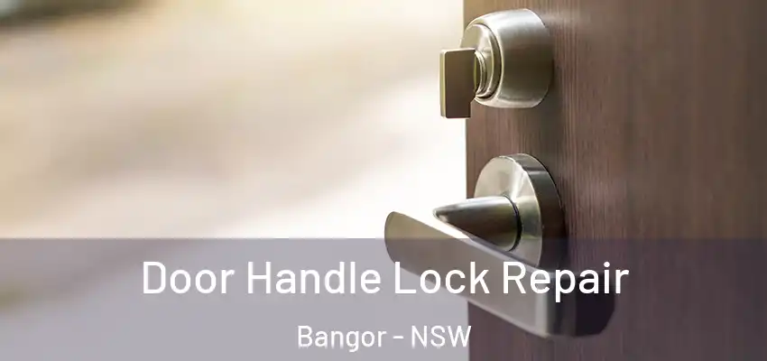 Door Handle Lock Repair Bangor - NSW