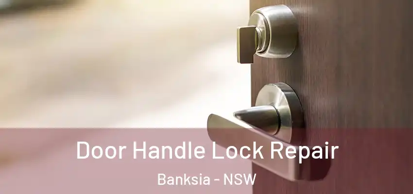 Door Handle Lock Repair Banksia - NSW