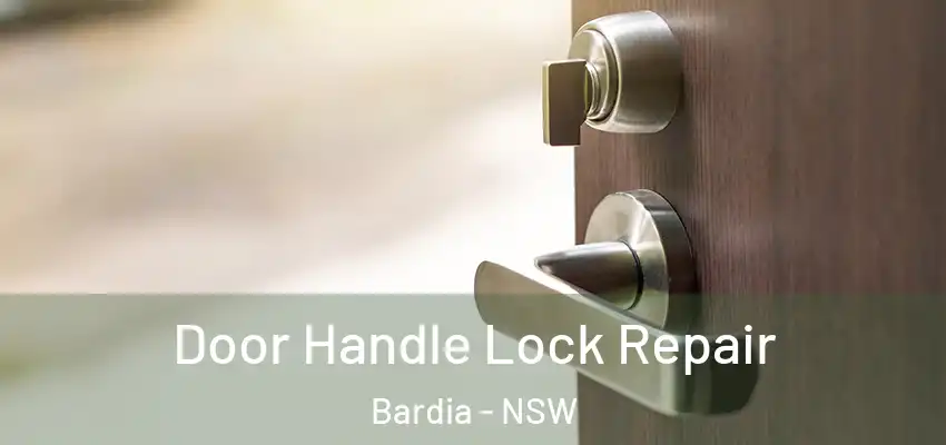 Door Handle Lock Repair Bardia - NSW