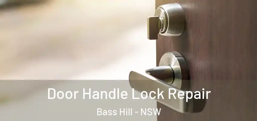Door Handle Lock Repair Bass Hill - NSW
