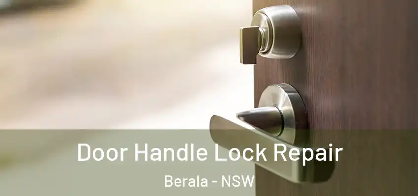 Door Handle Lock Repair Berala - NSW