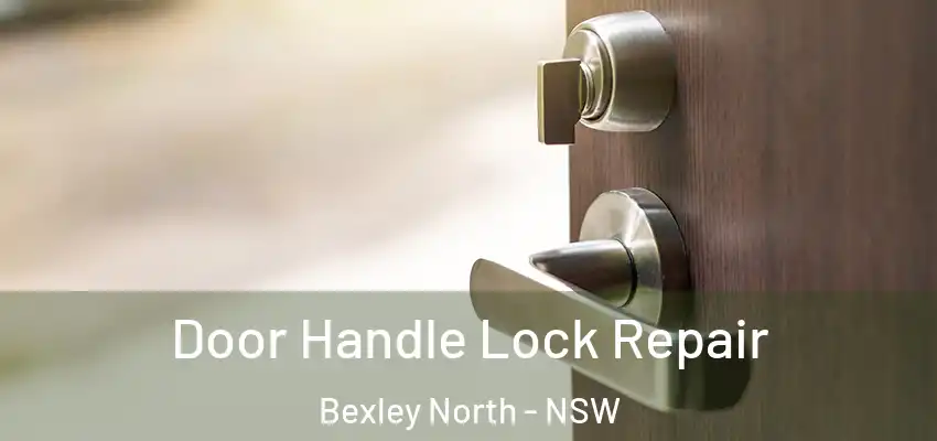 Door Handle Lock Repair Bexley North - NSW