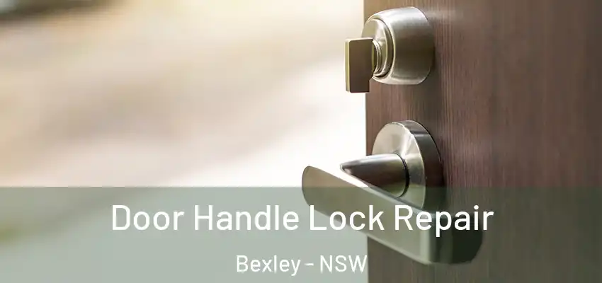 Door Handle Lock Repair Bexley - NSW