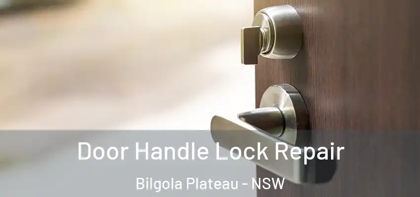 Door Handle Lock Repair Bilgola Plateau - NSW