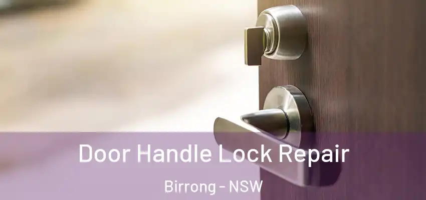 Door Handle Lock Repair Birrong - NSW