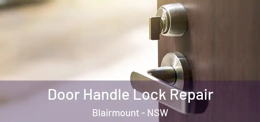 Door Handle Lock Repair Blairmount - NSW