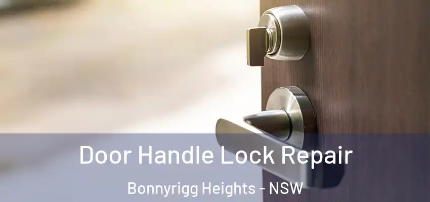 Door Handle Lock Repair Bonnyrigg Heights - NSW