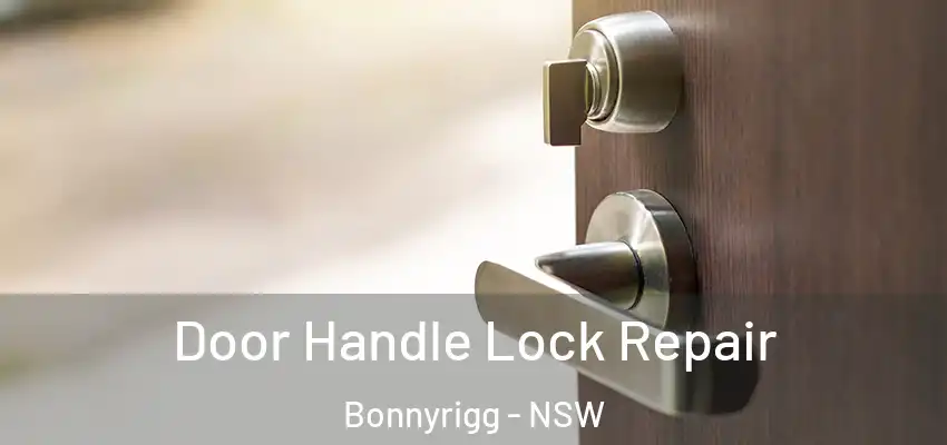Door Handle Lock Repair Bonnyrigg - NSW