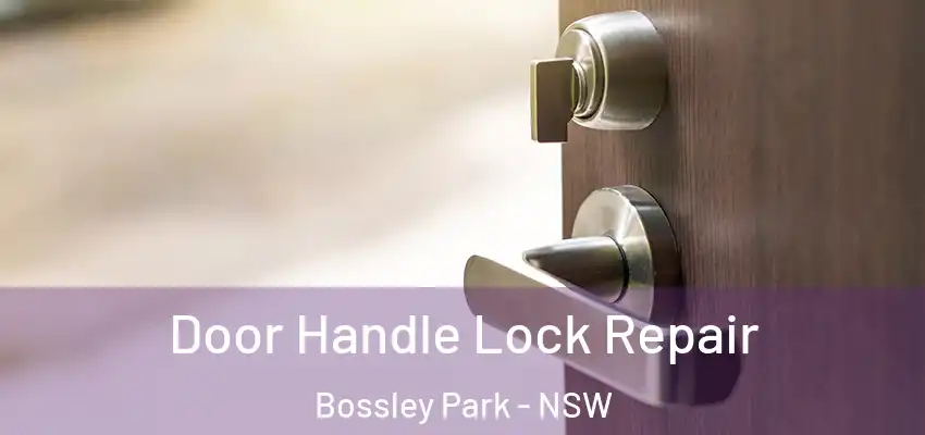 Door Handle Lock Repair Bossley Park - NSW