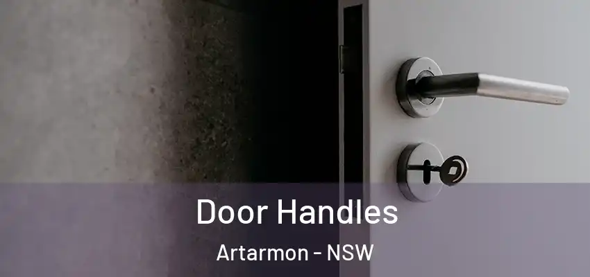 Door Handles Artarmon - NSW