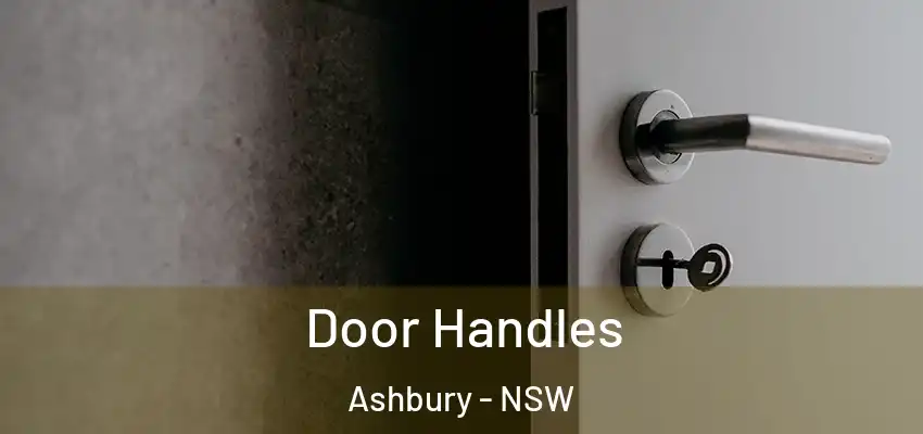 Door Handles Ashbury - NSW