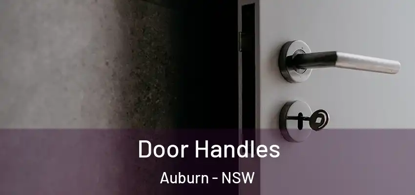 Door Handles Auburn - NSW