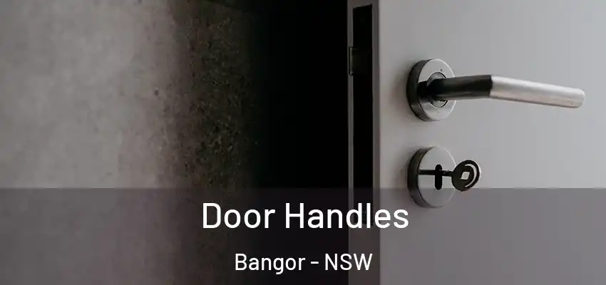 Door Handles Bangor - NSW