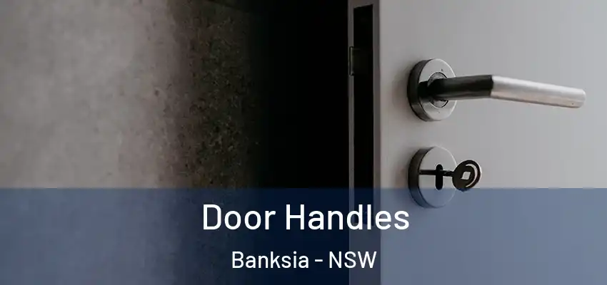 Door Handles Banksia - NSW