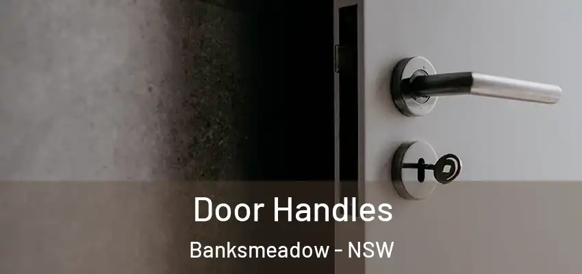 Door Handles Banksmeadow - NSW