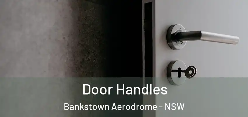 Door Handles Bankstown Aerodrome - NSW
