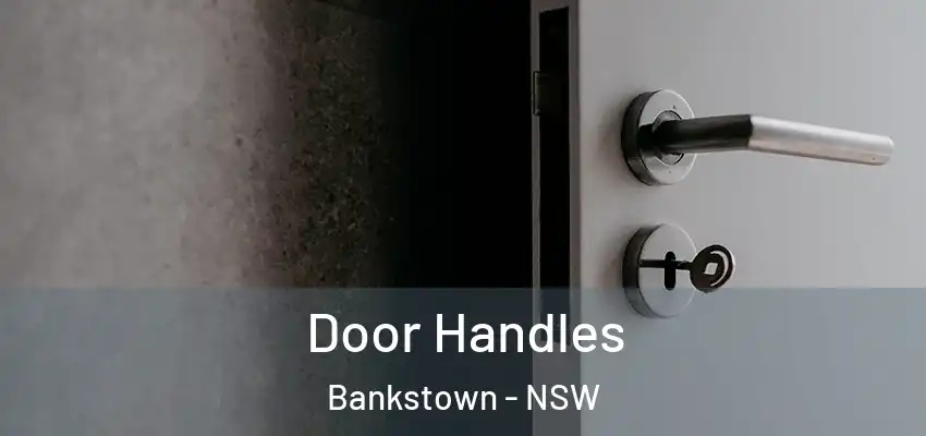 Door Handles Bankstown - NSW