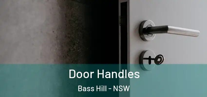Door Handles Bass Hill - NSW