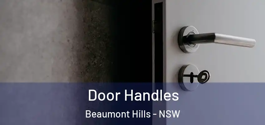 Door Handles Beaumont Hills - NSW
