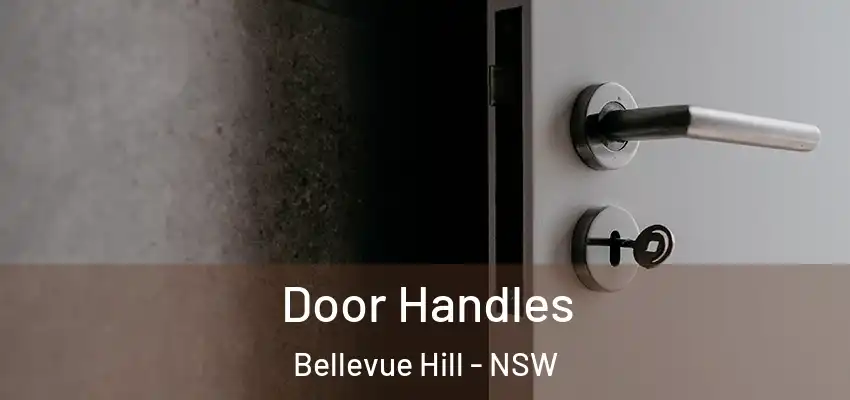 Door Handles Bellevue Hill - NSW