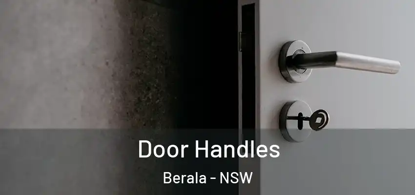 Door Handles Berala - NSW
