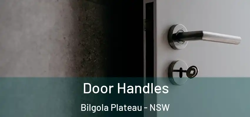 Door Handles Bilgola Plateau - NSW
