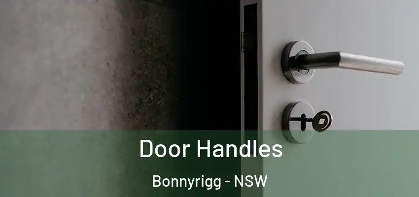 Door Handles Bonnyrigg - NSW