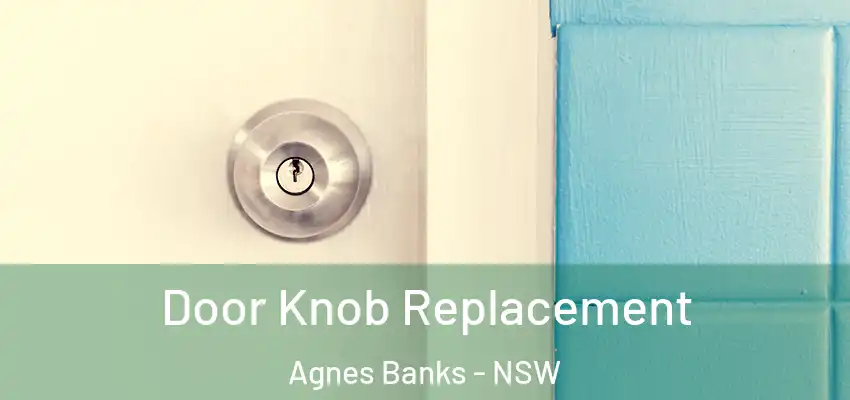 Door Knob Replacement Agnes Banks - NSW