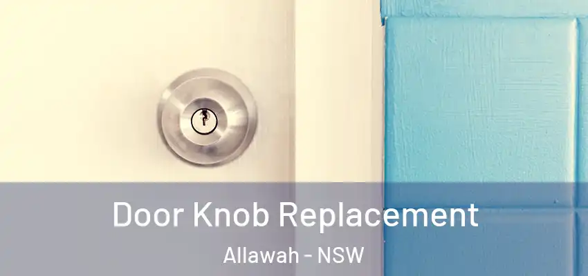 Door Knob Replacement Allawah - NSW