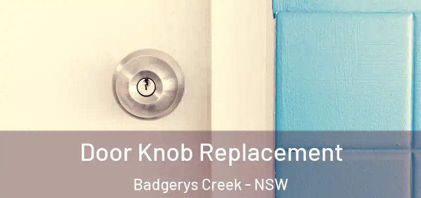 Door Knob Replacement Badgerys Creek - NSW