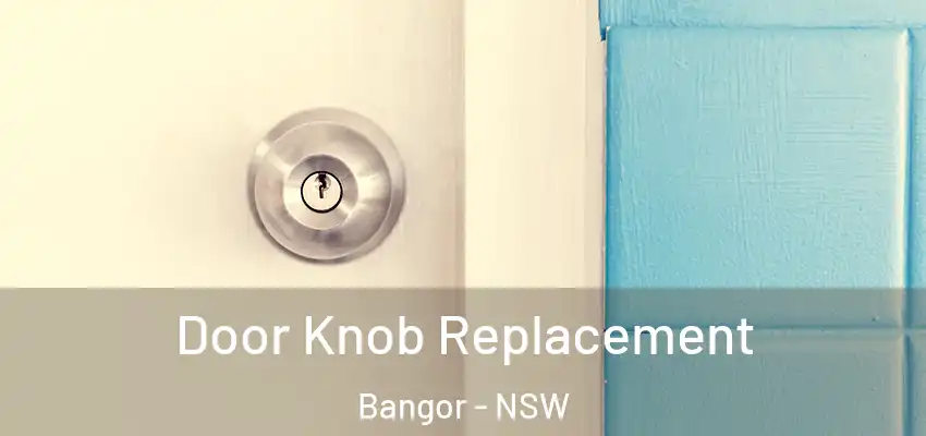 Door Knob Replacement Bangor - NSW