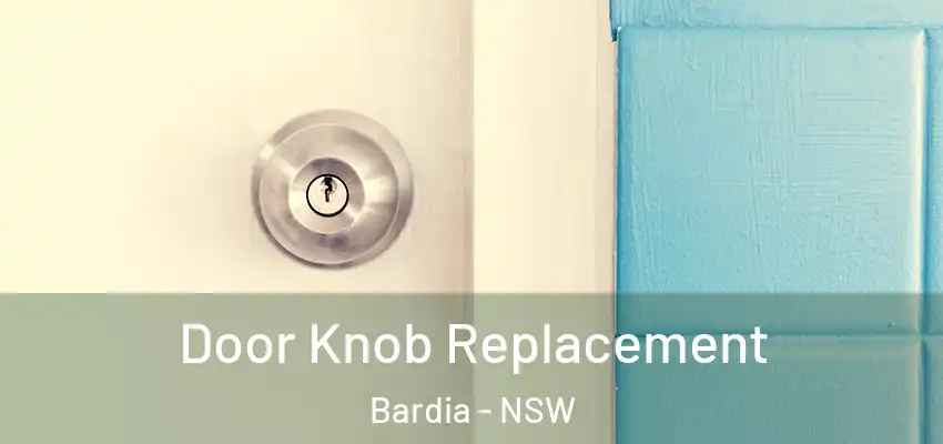  Door Knob Replacement Bardia - NSW