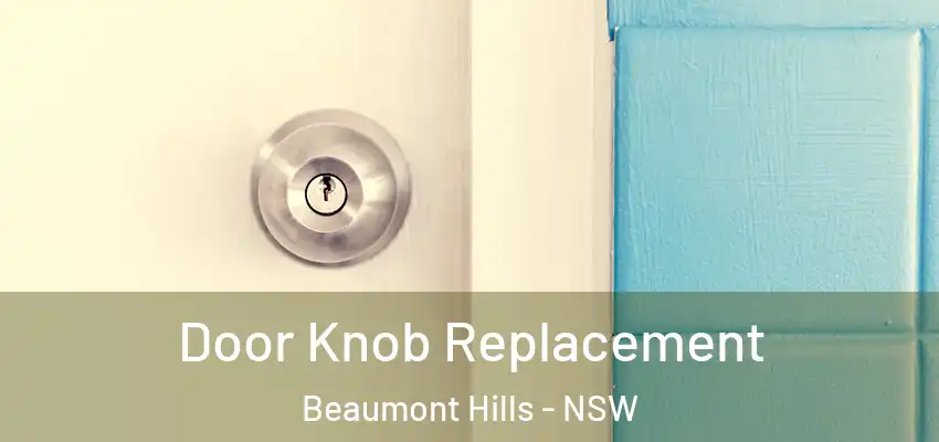 Door Knob Replacement Beaumont Hills - NSW