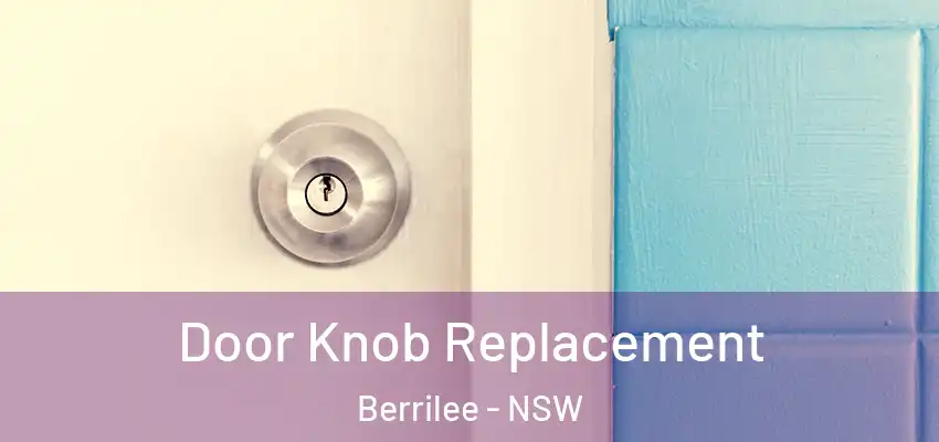 Door Knob Replacement Berrilee - NSW